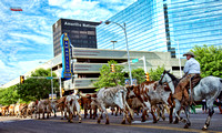 Cattle Drive with name