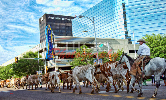 Cattle Drive 6304 name sm