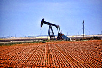 oil pumpDSC_0824