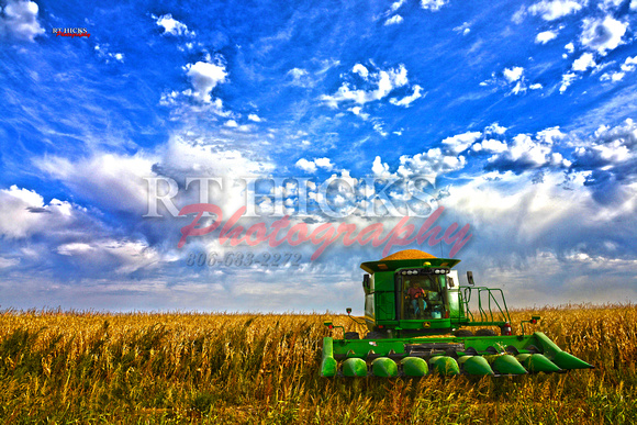 Corn Harvest2953name sm
