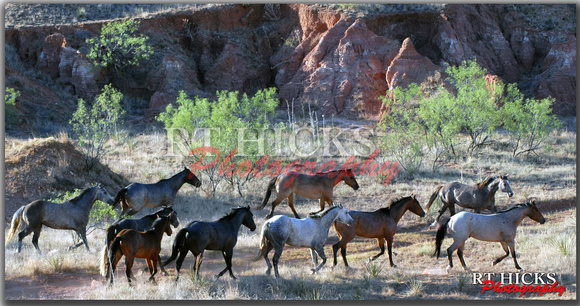 Horses River Breaks Ranch