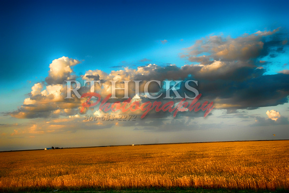 Wheat Clouds wheat