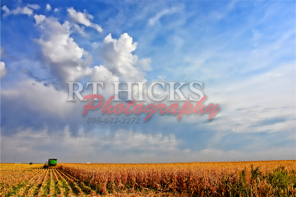 Corn Harvest cloudsDSC_2939